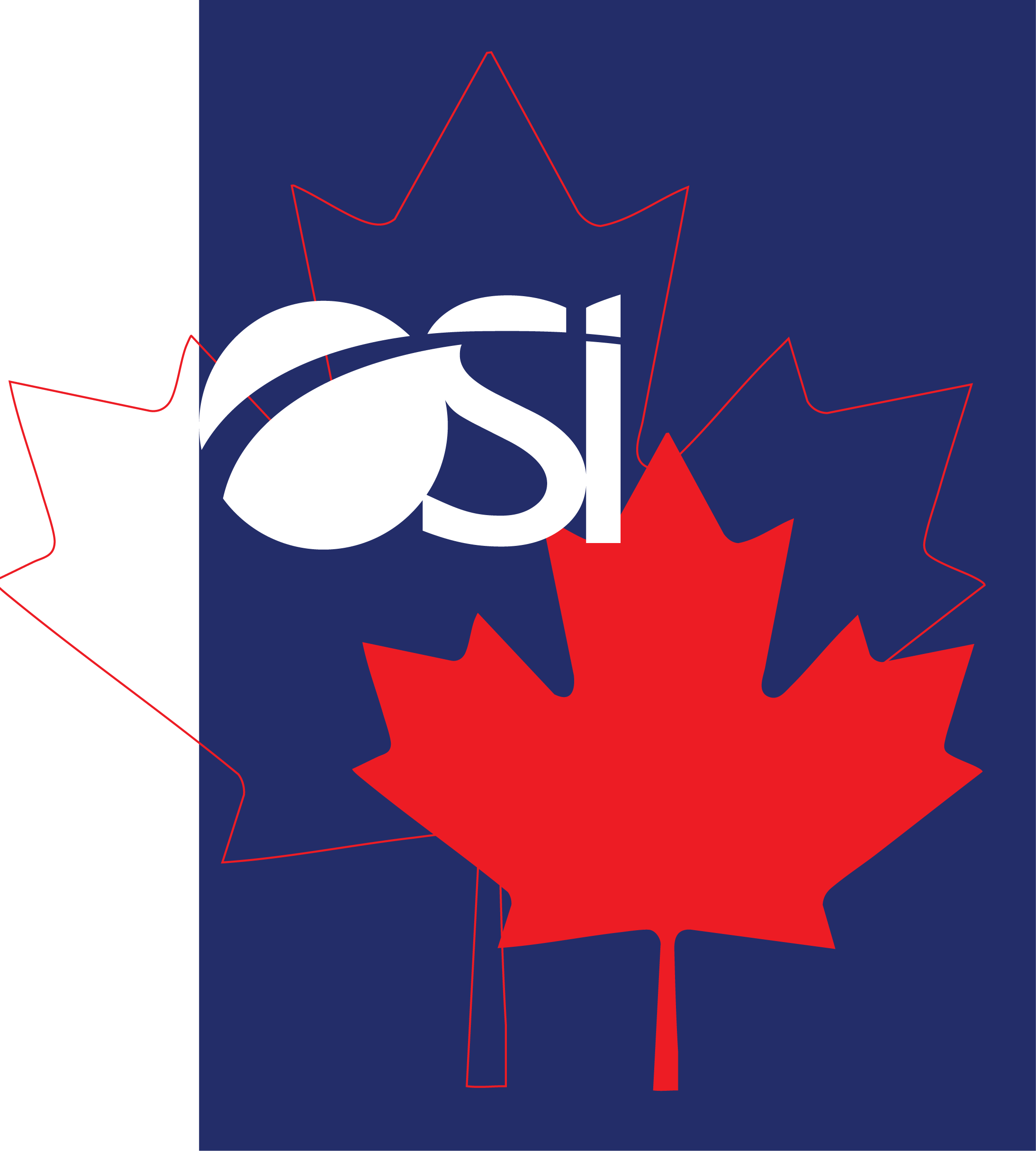OSI Riding High on the NSS Wave