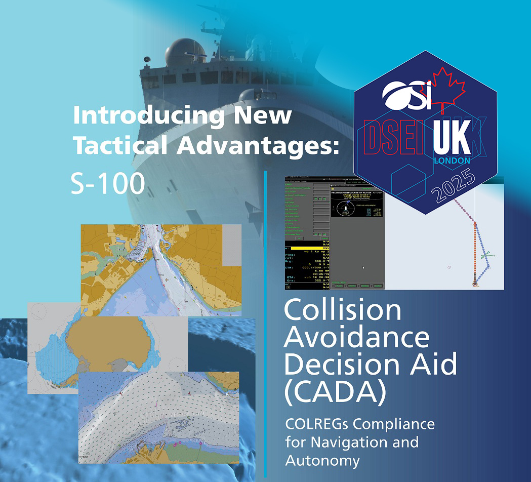 DSEI 2025